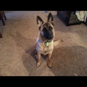 Meet your Posher, Anthony